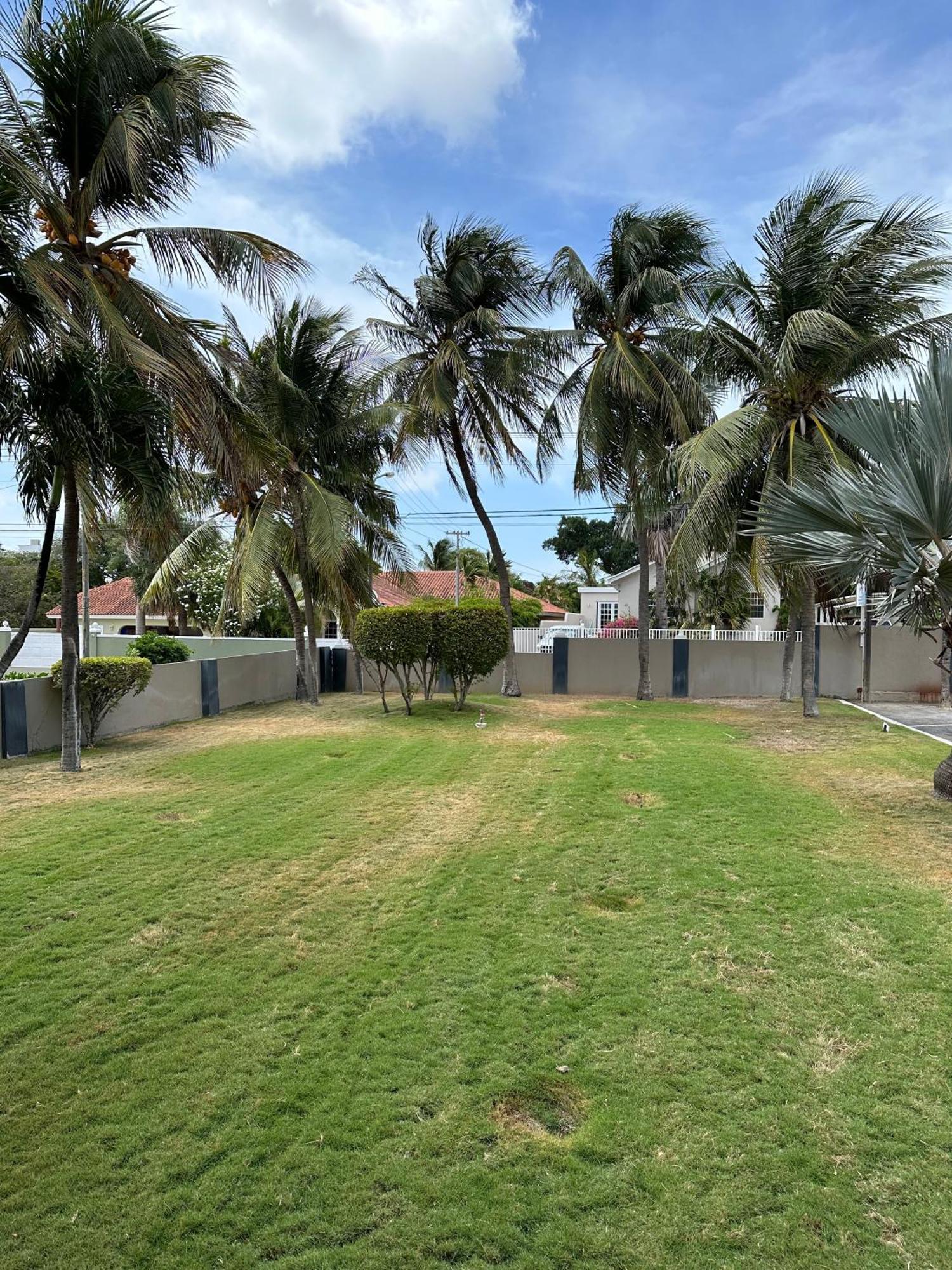 Windmill Apartments Curacao ウィレムスタッド エクステリア 写真